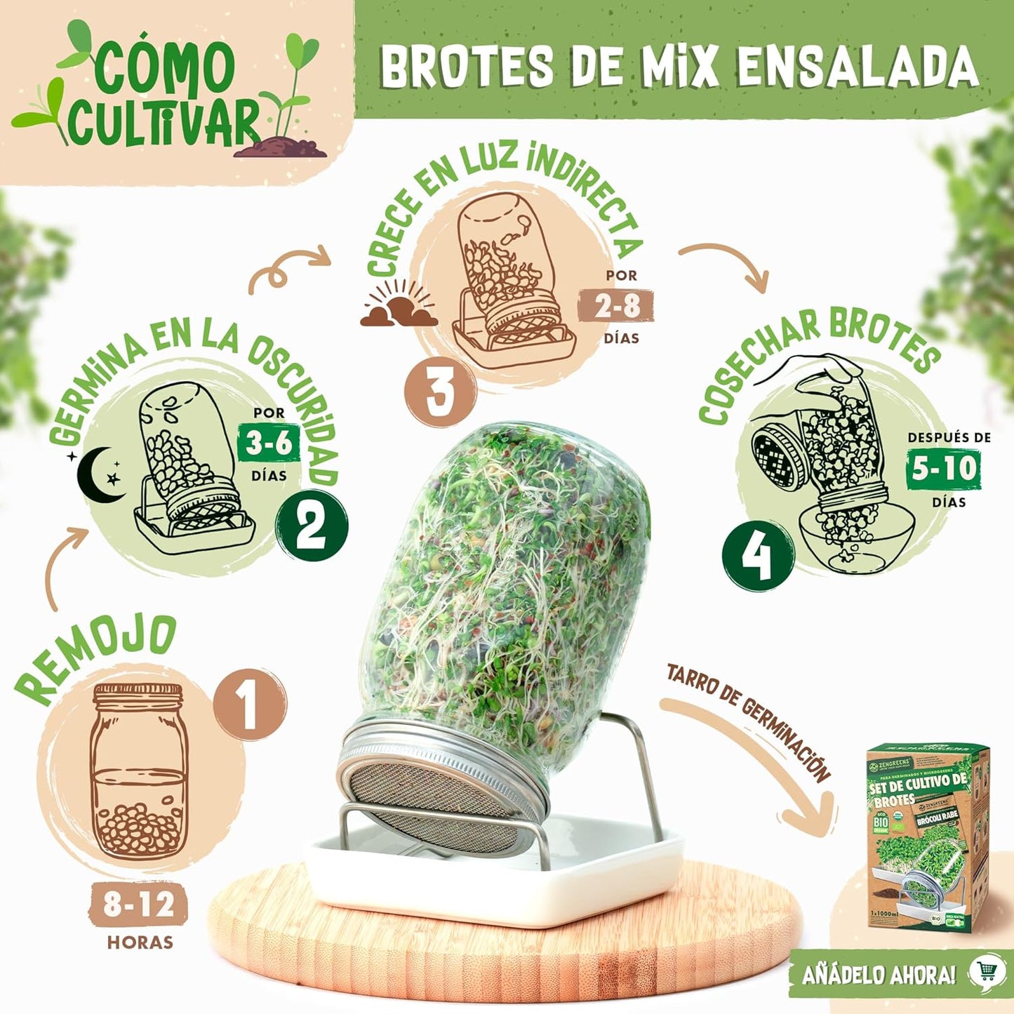 Mezcla de semillas de Ensalada ecoMix de semillas germinadas ecológicas para ensalada | Vida cruda en expansión