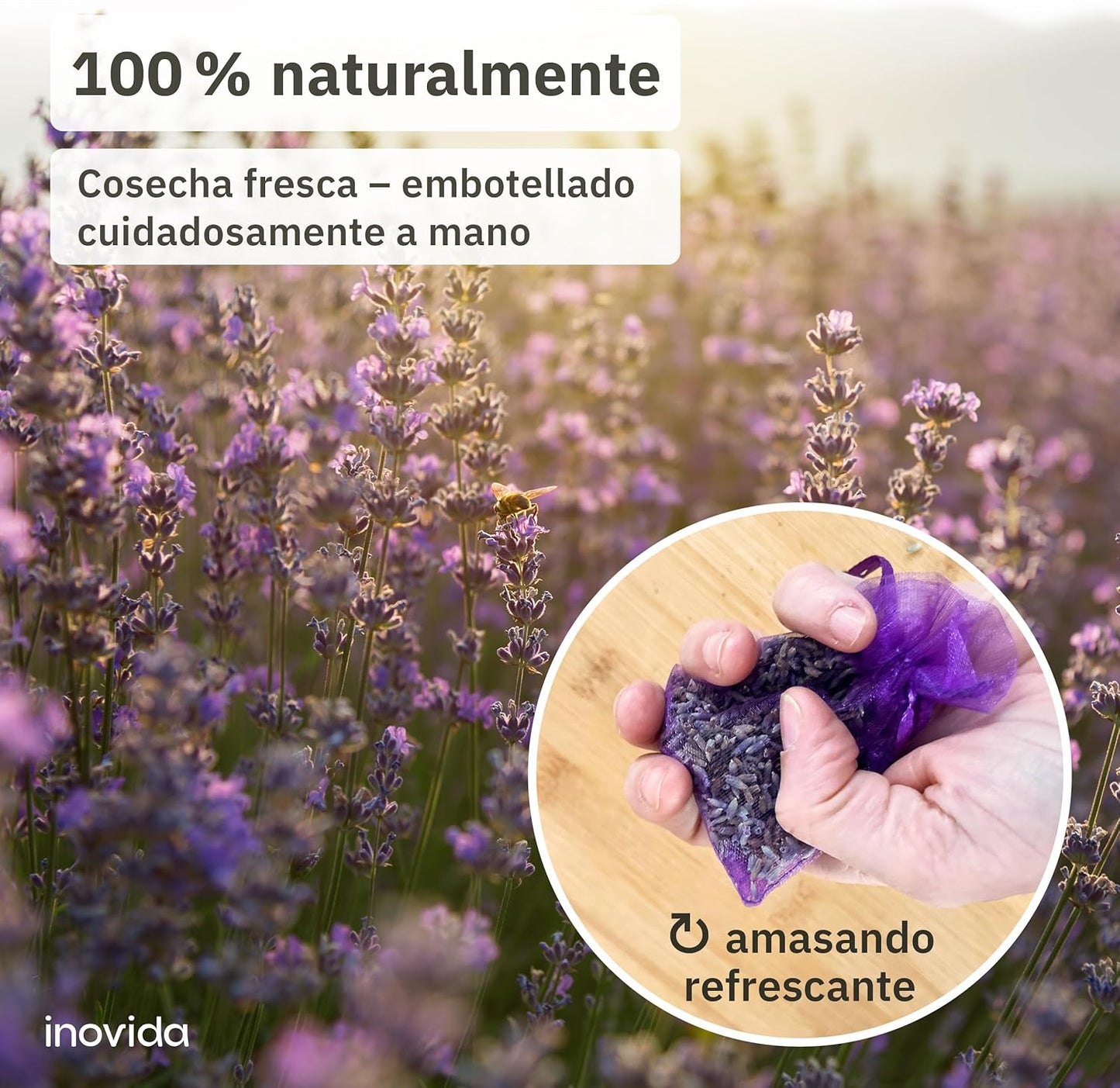 Saquitos de Lavanda Natural | Set de 20 Bolsas Aromáticas  | Ambientador Antipolillas para Armarios, Cajones y Habitaciones