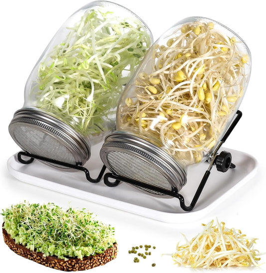 Kit de germinación semillas con tarros de vidrio | Crea vida en tu cocina