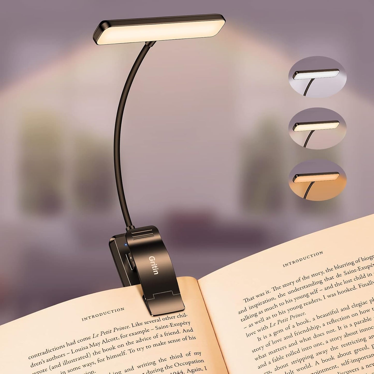Luz de Lectura