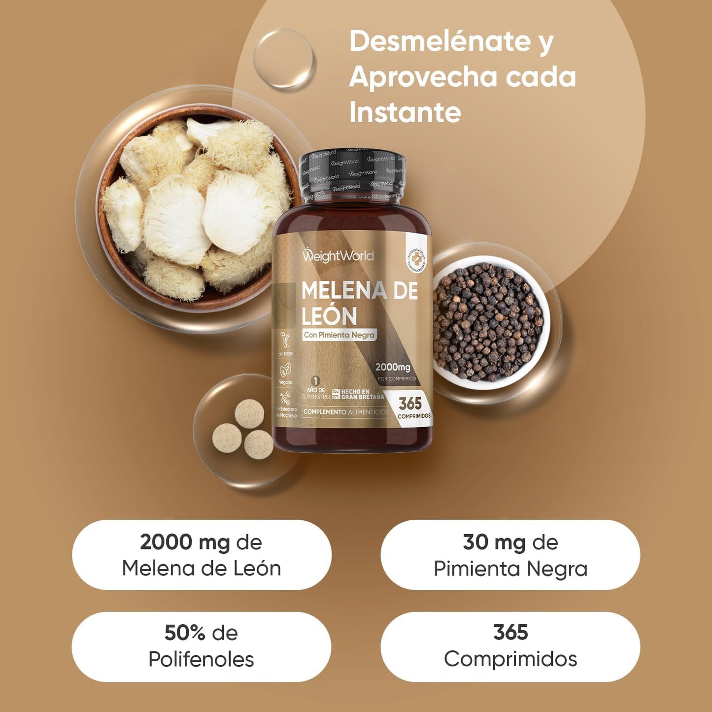 Melena de León | Suplemento Natural para la Memoria, Energía Mental y Bienestar