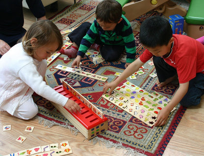 TOWO Juguete Montessori de Madera | Clasificación y Categorización | Juguete Educativo para Bebés 1 Año