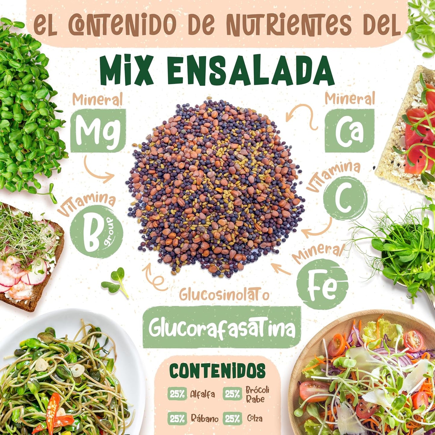 Mezcla de semillas de Ensalada ecoMix de semillas germinadas ecológicas para ensalada | Vida cruda en expansión