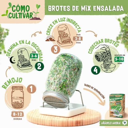 Mezcla de semillas de Ensalada ecoMix de semillas germinadas ecológicas para ensalada | Vida cruda en expansión