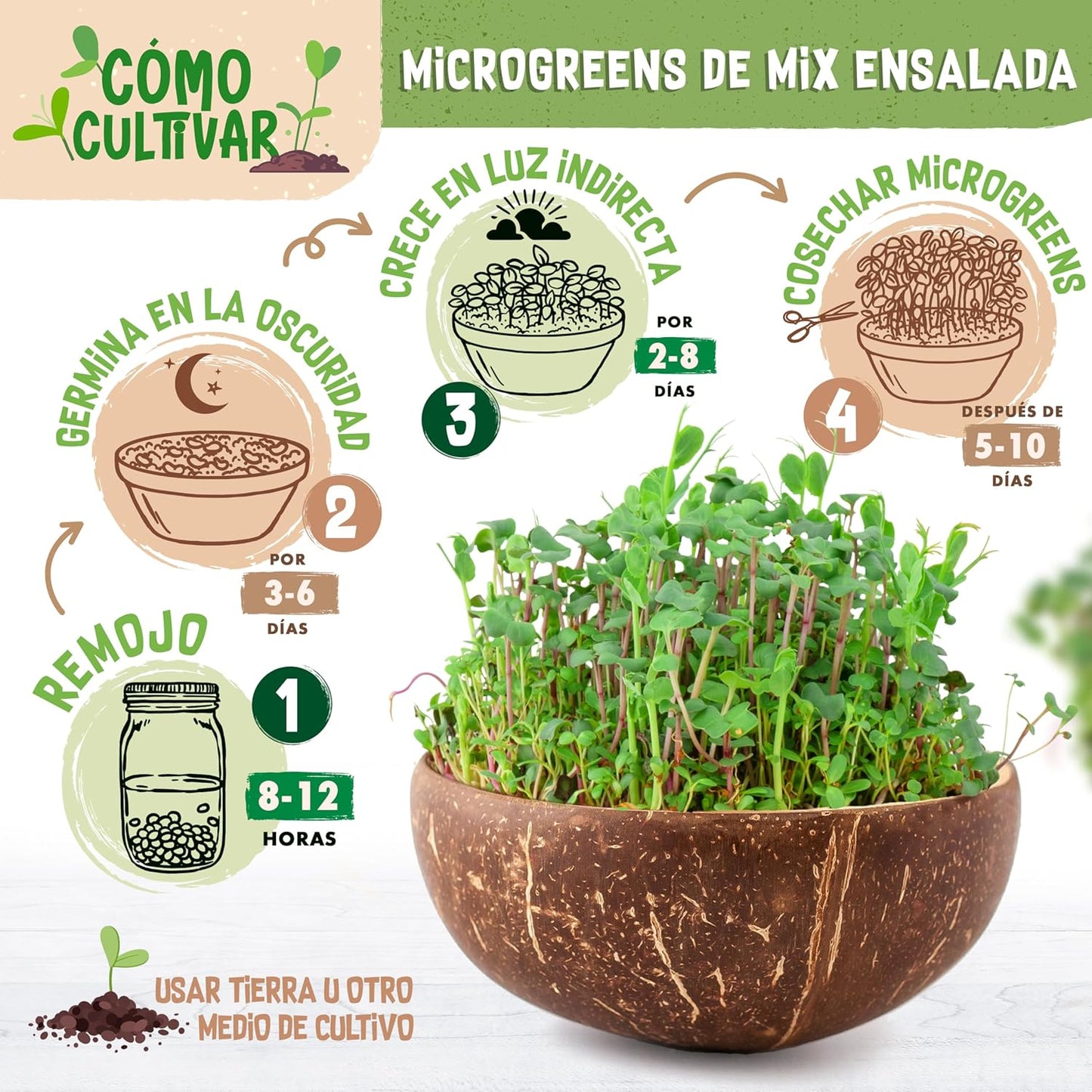 Mezcla de semillas de Ensalada ecoMix de semillas germinadas ecológicas para ensalada | Vida cruda en expansión