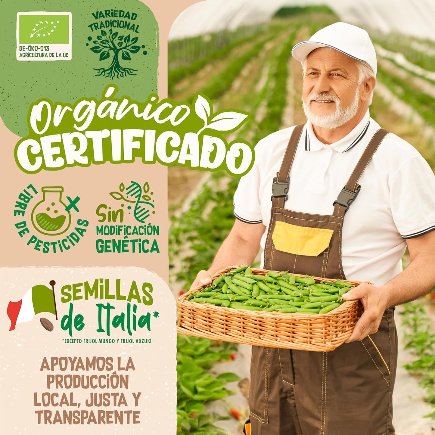 Mezcla de semillas de Ensalada ecoMix de semillas germinadas ecológicas para ensalada | Vida cruda en expansión