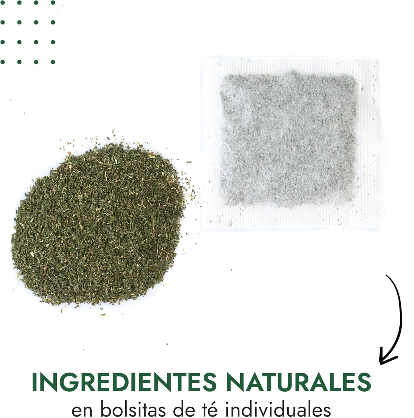 Té de Ortiga Orgánica | 120 Bolsitas (6 x 20) | Infusión de Hierbas Naturales Alpi Nature