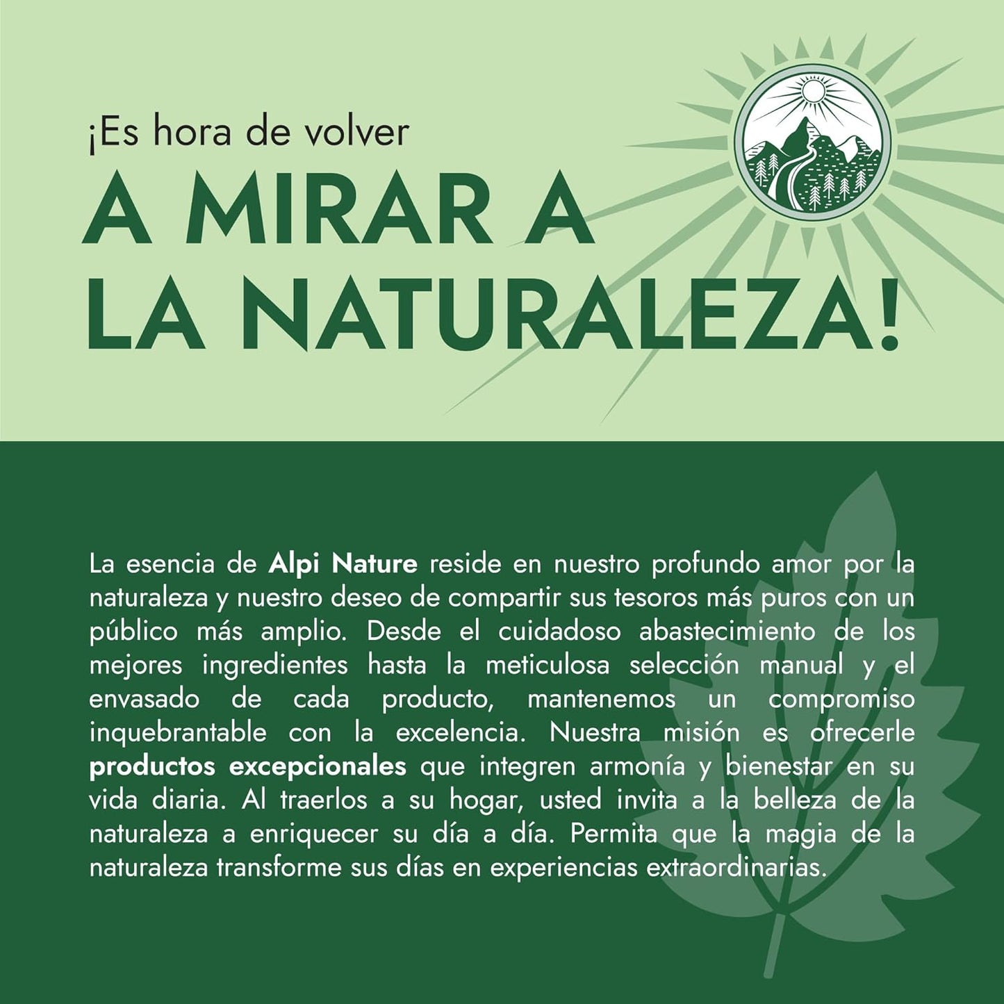 Té de Ortiga Orgánica | 120 Bolsitas (6 x 20) | Infusión de Hierbas Naturales Alpi Nature